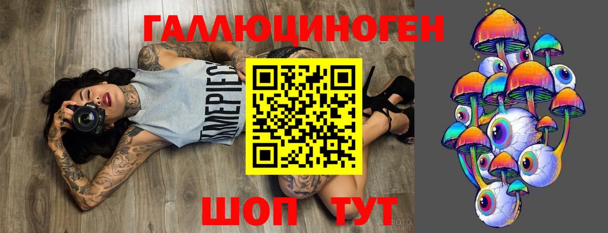 Галлюциногенные грибы Psilocybe Большой Камень